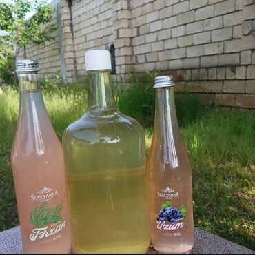 Turşular: Məhsul: Təbii alma sirkəsi Təsvir: - Şəkildəki bağdan yığılmış — 10