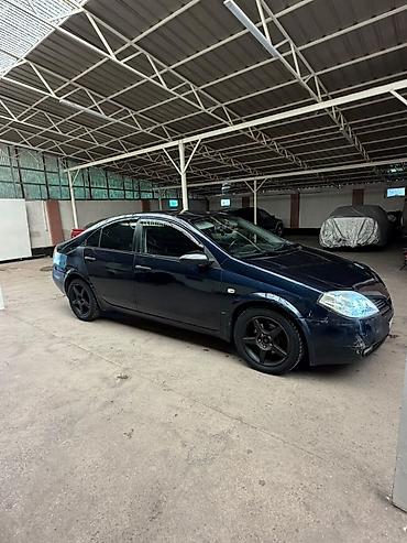 авто для такси: Nissan Almera: 2003 г., Механика — 1