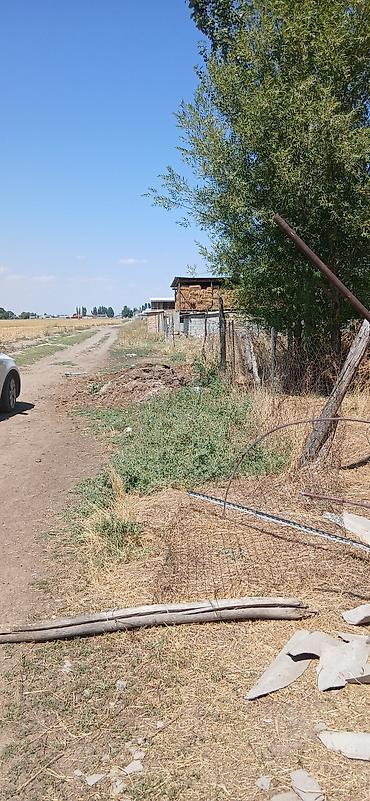 оптовый товар: Farm КРС, 6 соток, Без оборудования, Электричество — 2