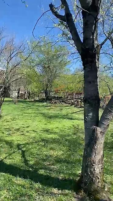 nesimi rayonunda satilan heyet evleri: 2 sot, Tikinti, Mülkiyyətçi, Kupça (Çıxarış) — 1