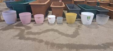 Bitkilər üçün dibçəklər: Dipcekler (Gül dipçekleri) gul qabilar dipcekler ferqli çesidler -da lalafo.az — 28 Bitkilər üçün dibçəklər: Dipcekler (Gül dipçekleri) gul qabilar dipcekler ferqli çesidler — 28