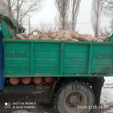 курьер авто: По региону, без грузчика