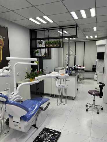 стоматология кабинет: Стоматолог. Аренда места. Азия Молл