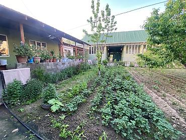 магазины по пиво с собой: 5 комнат, 200 м², 8 соток, Узген, Собственник — 9