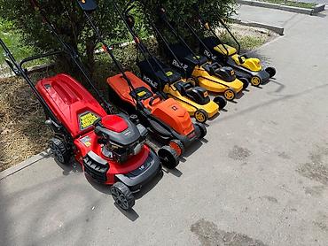 Газонокосилки: Газонокосилка, Новый, Электрическая, Rodex, Самовывоз, Бесплатная доставка, Платная доставка — 3