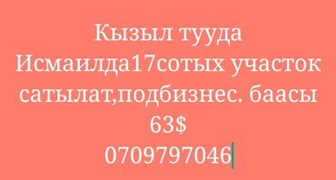 швейный цех сатылат: 17 соток, Кызыл китеп