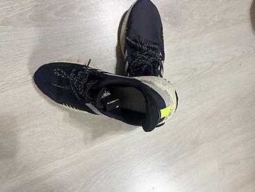 кросо: Кроссовки adidas Pulseboost HD. Лёгкие беговые кроссовки в чёрном — 1