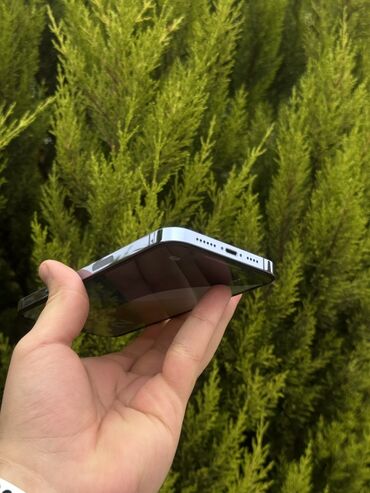 Apple iPhone: IPhone 13 Pro Max, 128 GB, Sierra Blue, Face ID — 13