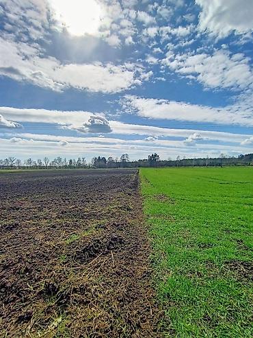 поливной жер: 142 соток, Договор купли-продажи — 3