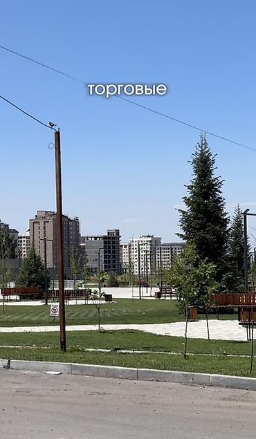 американское посольство: 3 комнаты, 86 м², Элитка, 5 этаж — 4