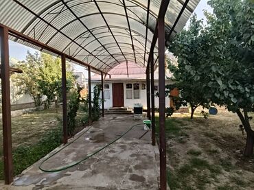 продаю дом манас аэропорт: Сдаю дом в аренду на долгий срок БЕЗ ХОЗЯИНА район тынчтык конушу