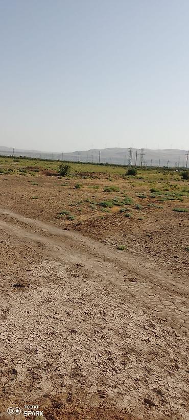 saray torpag: 119 sot, Kənd təsərrüfatı, Mülkiyyətçi, Kupça (Çıxarış) — 8