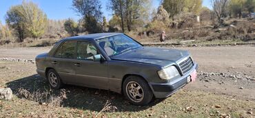 полик авто: Mercedes-Benz W124: 1993 г., 2 л, Механика, Бензин, Седан