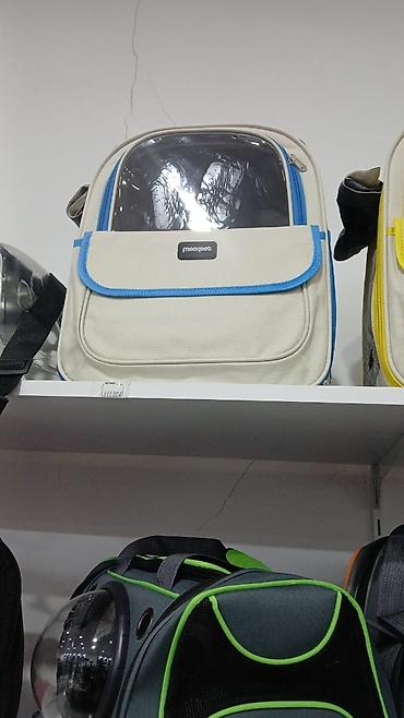 Pişiklər: Erkək, Pulsuz çatdırılma — 8