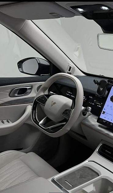 Hozon: Hozon Neta L: 2024 г., 1.5 л, Автомат, Бензин, Кроссовер — 3