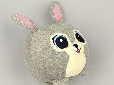 Children's Items: Mascot condition - Perfect