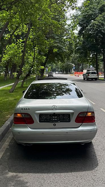 byd e2 2024: Mercedes-Benz E-Class: 1999 г., 3.2 л, Автомат, Бензин, Купе — 4