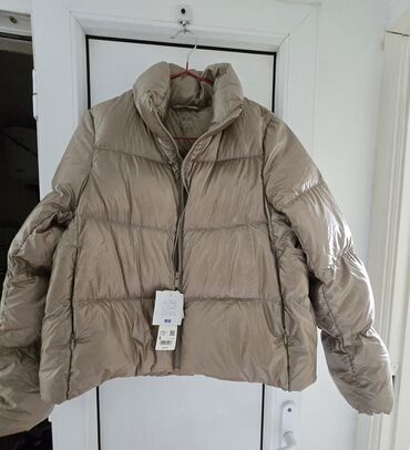 женские зимние куртки: Пуховик, Короткая модель, Япония, S (EU 36)