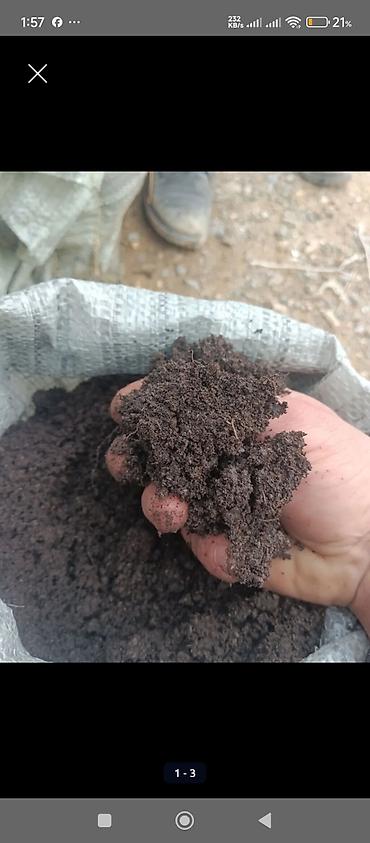torf nerede satılır: Məhsul: Təbii torf, perlit, keramzit və mineral gübrələr Təsvir: - — 3