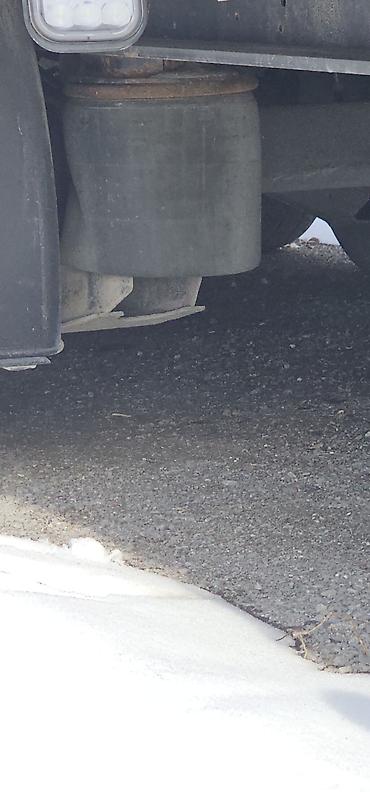 Тягачи: Тягач, DAF, 2019 г., Тентованный — 20