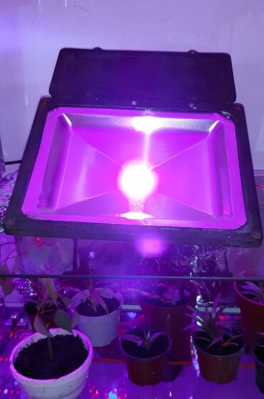 Baštenska rasveta: Led Reflektor Rast Biljki Led Grow Full Spectrum 50w 220v — 9