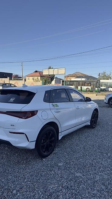 е2 электромобиль: BYD E2: 2022 г., Электромобиль, Хэтчбэк — 1