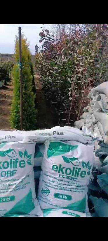 Torf: Bağçılıq və istixana üçün torf substratları və əkin kasseti — 28