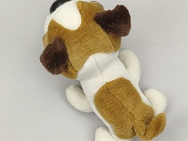 mascot spodenki: Maskotka Pies, stan - Bardzo dobry