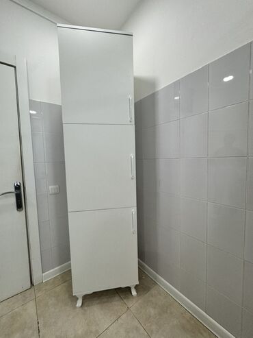 plasmas şkaf: İşlənmiş, Açılan, 3 qapılı Düz dolab, Qarderob, paltar dolabı