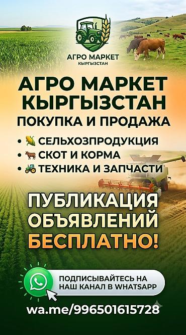 трактор клас: 🌾 Присоединяйтесь к новому WhatsApp-каналу «Агро маркет»! 🚜 ​Мы — 1