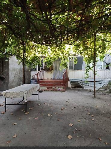 seki torpaq: 6 sot, Tikinti, Mülkiyyətçi, Kupça (Çıxarış) — 5