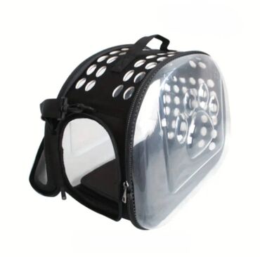 sevimli pişik şəkilləri: Qara rəng lalafo.az -da sevimli pişik şəkilləri: Qara rəng