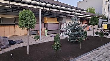 Семена газона: Газонные семена и почвосмеси для газона - Марки: Green Field — 10