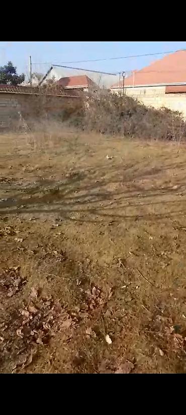 Torpaq sahələrinin satışı: 6 sot, Kupça (Çıxarış) — 13