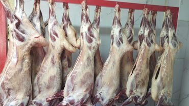 продать яблоки оптом: Баранина : Более 10 кг