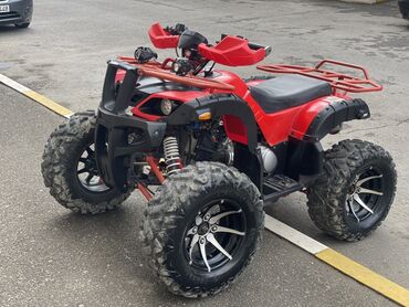 Kvadrosikllar: 200 sm3, 2022 il, 2900 km — 1