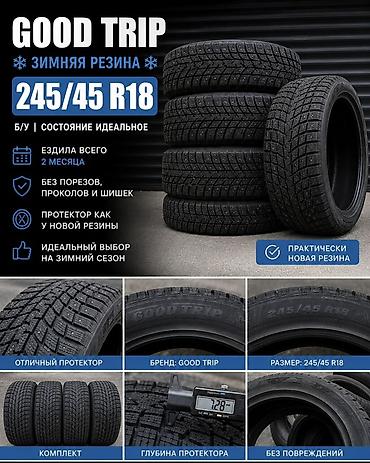 thindiag 2: Шины 245 / 45 / R 18, Зима, Б/у, Комплект, Легковые, Китай, Goodtrip — 1