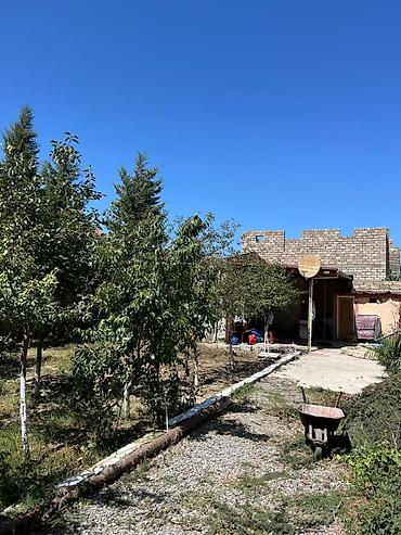 ev səkli: 36 kv. m, 3 otaqlı — 2