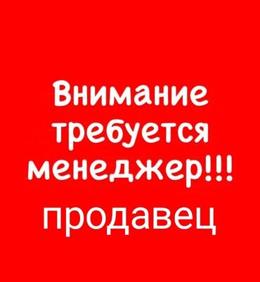 требуется химик: Требуется менеджер девушка или женщина работа с клиентами продажа