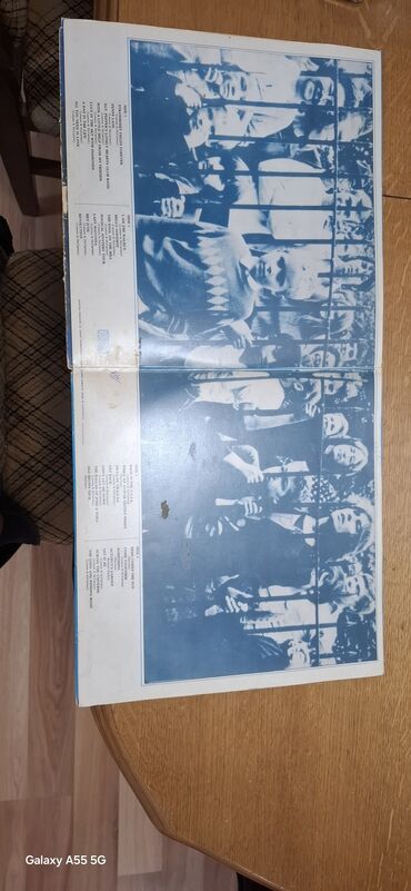 Vinil ploče: Vinil ploče – 2 komada (LP) 1) The Beach Boys – 20 Golden Greats — 10