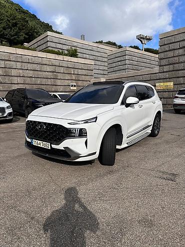 купить дверные ручки: Hyundai Santa Fe: 2021 г., 1.6 л, Гибрид, Кроссовер — 1