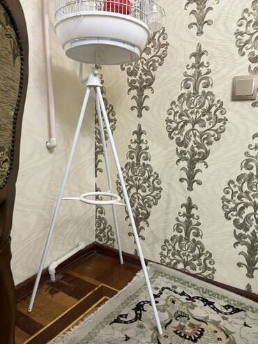 Qəfəslər: Ağ rəngli asılqanlı quş qəfəsi - Dairəvi, günbəz formalı metal — 7