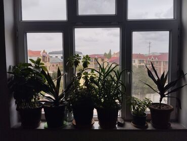 Otaqların satışı: Səbail r.Badamdar qəs.MTN Hospitalin yani.Dəniz mənzərəli 5 mərtbe das — 3