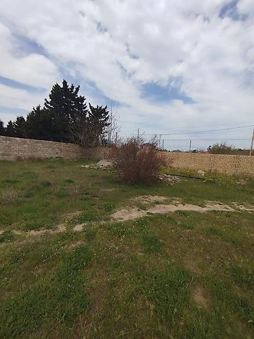goradil: 4 sot, Tikinti, Maklerlər narahat etməsin, Kupça (Çıxarış) — 5