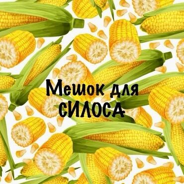 сундук на заказ: Полиэтиленовый Пакет, Новый
