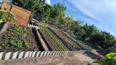 Продажа участков: 10 соток — 24