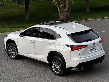 lexus 360: Lexus NX: 2021 г., 2 л, Автомат, Бензин, Кроссовер — 6