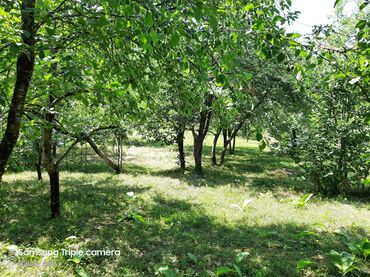 Torpaq sahələrinin satışı: 10 sot, Tikinti, Mülkiyyətçi, Kupça (Çıxarış) -da lalafo.az — 12 Torpaq sahələrinin satışı: 10 sot, Tikinti, Mülkiyyətçi, Kupça (Çıxarış) — 12