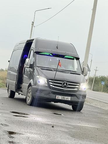 205 70 15 с: Mercedes‑Benz Sprinter — пассажирский микроавтобус повышенной — 1