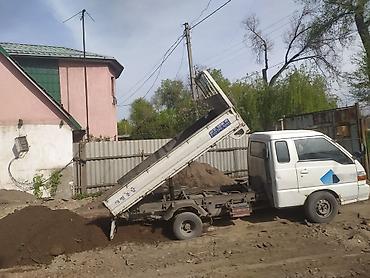 кальций для животных: Отсев Отсев отсев отсев отсев отсев отсев отсев отсев отсев отсев — 2